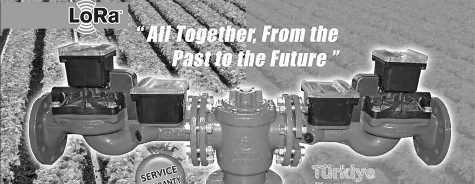 Delta Nova Water Meters