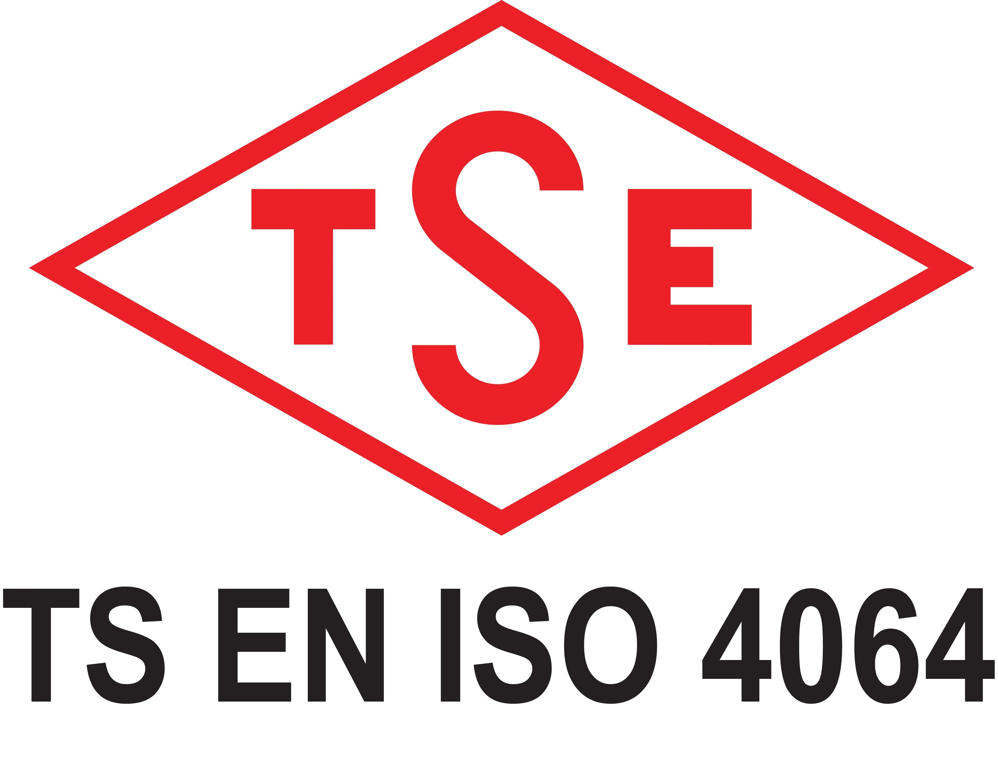 TSE